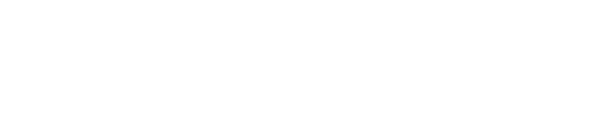 nieves-cabrera-high-resolution-logo-color-on-transparent-background